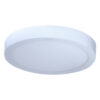 Led Duhal 24W ốp nổi