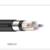 Cáp điện LION-AXV/DATA 25 cáp hạ thế có giáp bảo vệ ruột Nhôm
