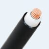 Hình ảnh mô phỏng cấu trúc lõi cáp Cadivi CX1V