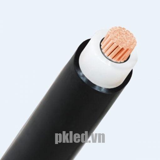 Hình ảnh mô phỏng cấu trúc lõi cáp Cadivi CX1V