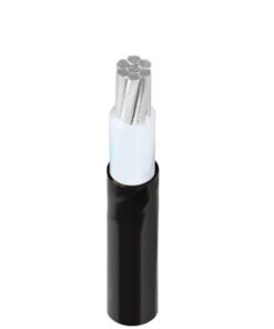 Hình ảnh cấu trúc cáp điện Cadivi nhôm mã AXV/DSTA 1 lõi