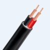 Hình ảnh mô phỏng cấu trúc lõi cáp Cadivi CVV 2 lõi