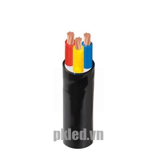 Hình ảnh mô phỏng cấu trúc lõi cáp Cadivi CVV 3 lõi